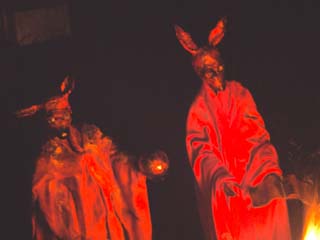 Kangaroo Men
