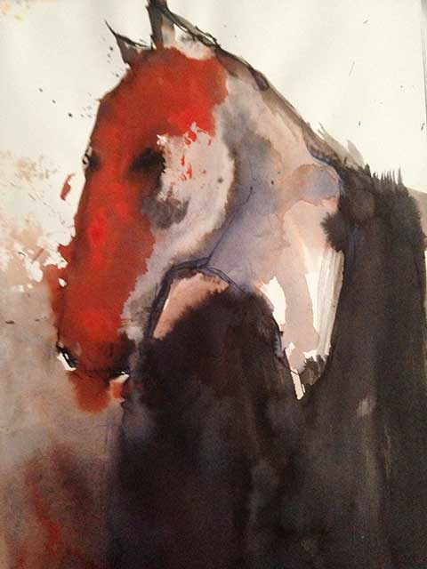 Equus Rufus 2