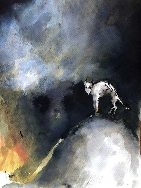 thylacine